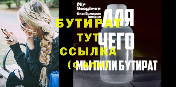 индика Горняк