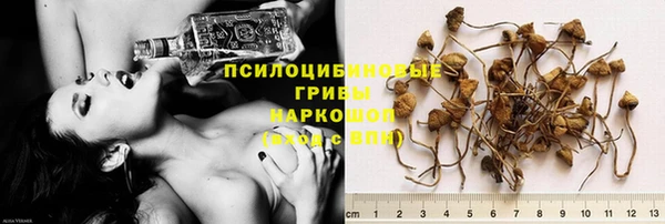 твердый Горно-Алтайск