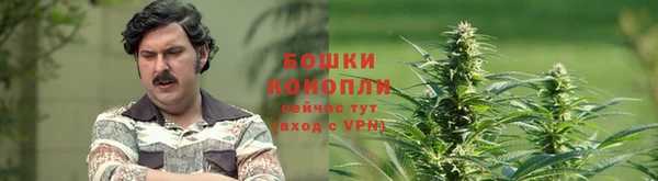 индика Горняк