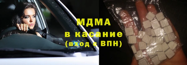 индика Горняк