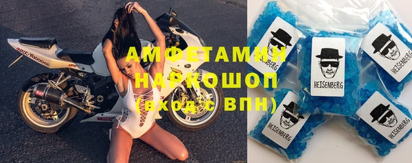 индика Горняк
