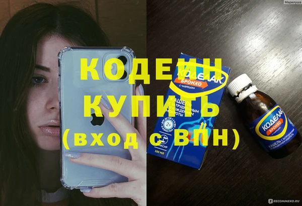 индика Горняк