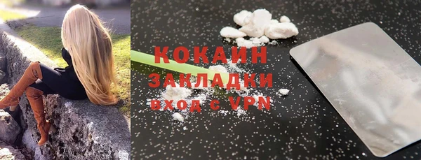 индика Горняк