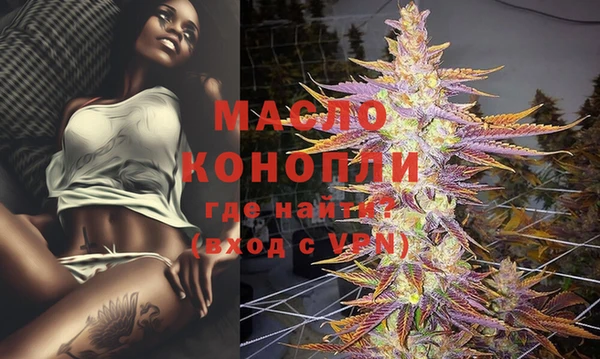 индика Горняк