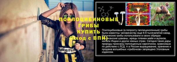 тгк Горнозаводск