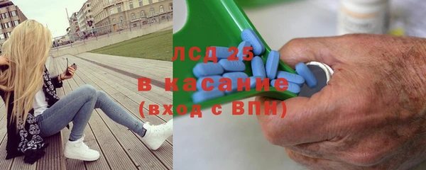 индика Горняк