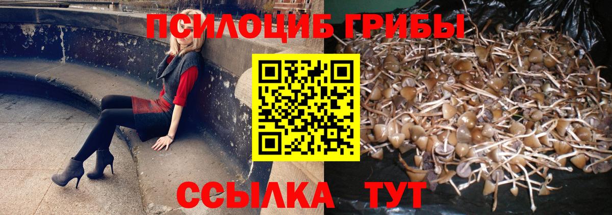 Галлюциногенные грибы Psilocybe  Вход с VPN  Псилоцибиновые грибы прущие грибы  Москва 